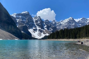Lake Louise & Emerald Lake Half Day Tour from Canmore/Banff