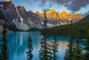 Lake Louise & Emerald Lake Half Day Tour from Canmore/Banff