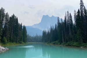 Lake Louise & Emerald Lake Half Day Tour from Canmore/Banff
