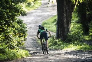 Las Catalinas: Bästa sakerna att göra i Guanacaste, Costa Rica
