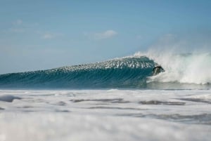 Las Catalinas: Bästa sakerna att göra i Guanacaste, Costa Rica