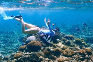 Las Catalinas: De bedste ting at lave i Guanacaste, Costa Rica