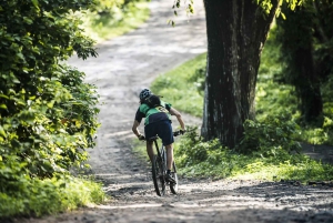 Las Catalinas: De bedste ting at lave i Guanacaste, Costa Rica