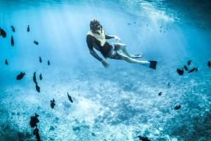 Las Catalinas: De bedste ting at lave i Guanacaste, Costa Rica