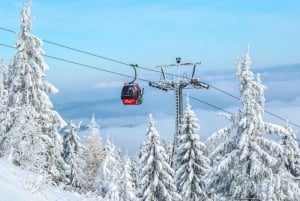 Privat skisafari dag med transport
