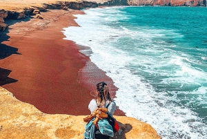 Lima : visite de 2 jours à Paracas, aux îles Ballestas et à Huacachina