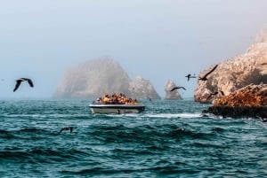 Lima : visite de 2 jours à Paracas, aux îles Ballestas et à Huacachina