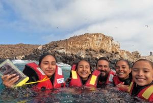 リマ：2日間：パロミノ島-アシカと泳ぐ+ワカチナ・オールインクルーシブ