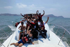 リマ：2日間：パロミノ島-アシカと泳ぐ+ワカチナ・オールインクルーシブ