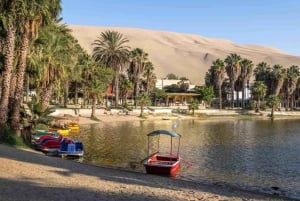 Lima: Dagvullende tour naar Paracas, wijngaarden en Huacachina