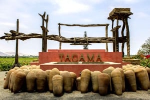 Lima: Dagvullende tour naar Paracas, wijngaarden en Huacachina