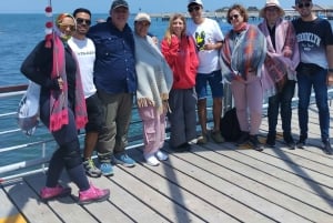 Lima: Paracas und die Huacachina-Oase Geführte Tagestour