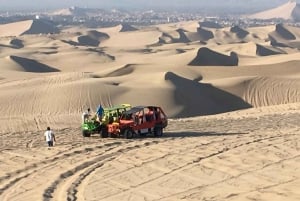 Lima: Transfer + Paracas + Huacachina + Sandboarding + Buggies
