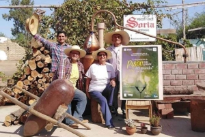 Lima: Transfer + Paracas + Huacachina + Sandboarding + Buggies