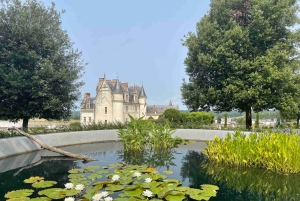 Долина Луары: входной билет в Королевский замок Амбуаз