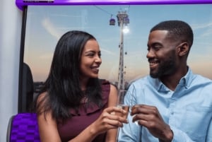 London: IFS Cloud Cable Car Champagne Experience