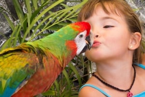 Los Cabos : Balade à dos de chameau dans le canyon et toboggans aquatiques à sensations fortes