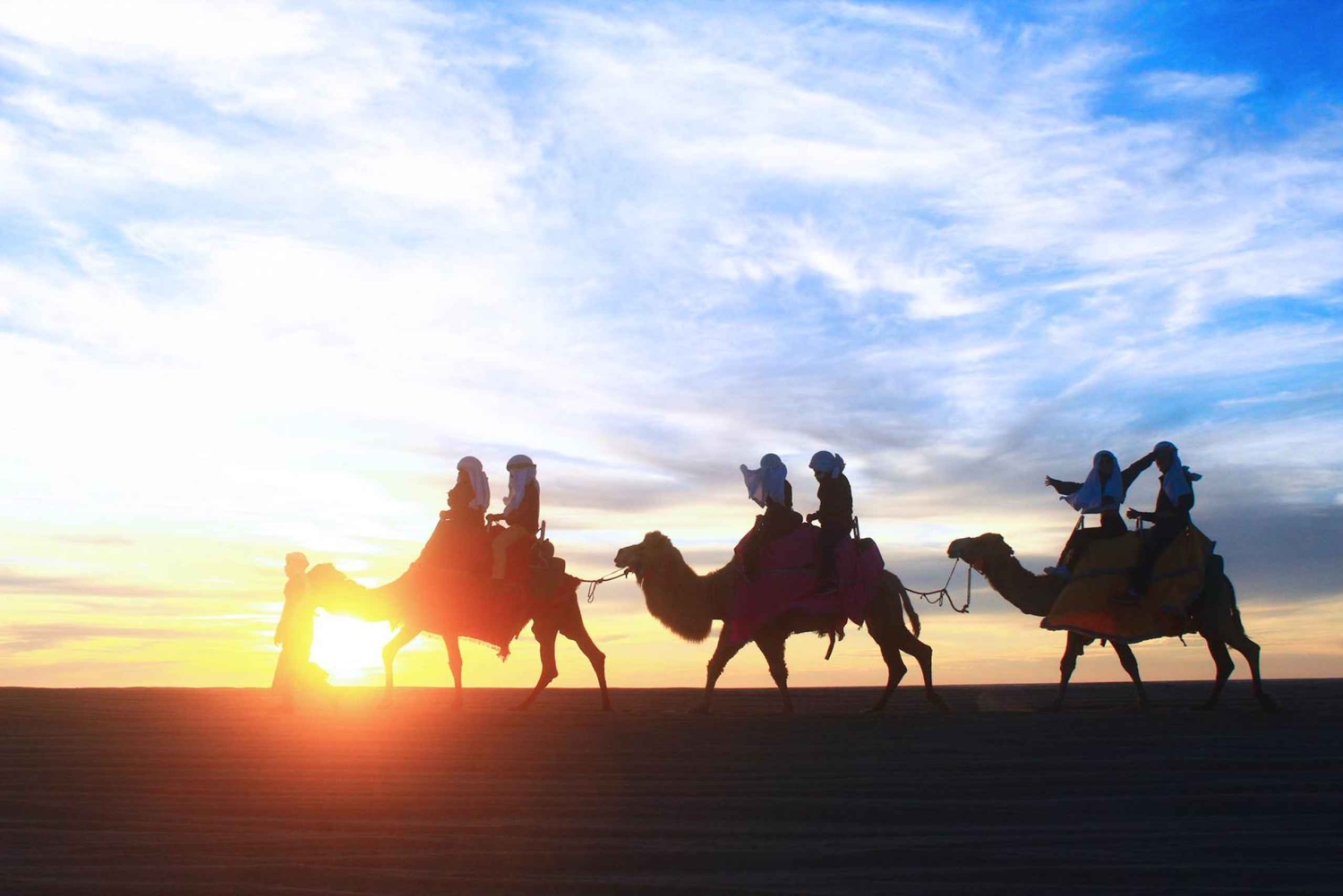 Los Cabos: Camel Ride Safari med lunch och tequilaprovning