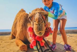 Los Cabos: Camel Ride Safari med lunch och tequilaprovning
