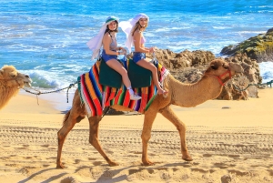 Los Cabos: Camel Ride Safari med lunch och tequilaprovning