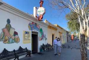 Los Cabos: Half-Day San Lucas and San Jose Tour