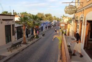 Los Cabos: Half-Day San Lucas and San Jose Tour