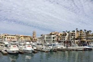 Los Cabos: Half-Day San Lucas and San Jose Tour
