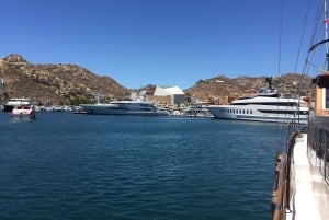 Los Cabos: Half-Day San Lucas and San Jose Tour