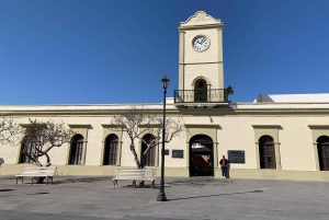 Los Cabos: Puolipäiväinen San Lucas ja San Jose Tour