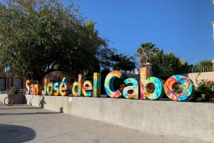 Los Cabos: Puolipäiväinen San Lucas ja San Jose Tour