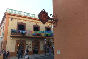 Los Cabos: Puolipäiväinen San Lucas ja San Jose Tour