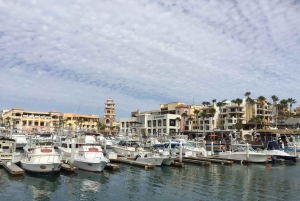 Los Cabos: Puolipäiväinen San Lucas ja San Jose Tour