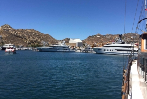 Los Cabos: Puolipäiväinen San Lucas ja San Jose Tour