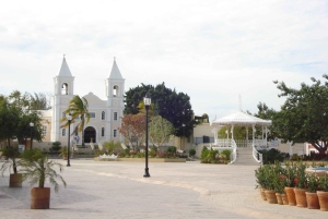 Los Cabos: Viaje a San José y San Lucas con Comida
