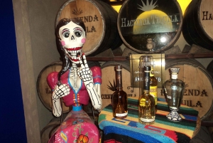 Los Cabos: Viaje a San José y San Lucas con Comida