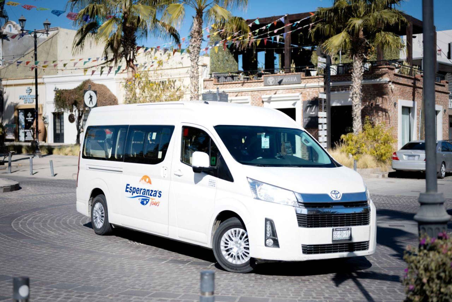 Los Cabos: San Jose del Cabo konstrundvandring och ölprovning