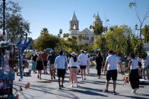 Los Cabos: San Jose del Cabo konstrundvandring och ölprovning