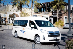 Los Cabos: San Jose del Cabo konstrundvandring och ölprovning