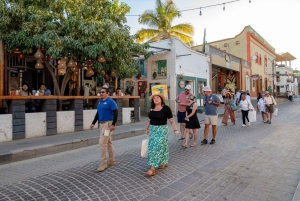 Los Cabos: San Jose del Cabo konstrundvandring och ölprovning