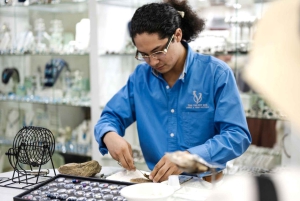 Los Cabos: San Jose del Cabo konstrundvandring och ölprovning