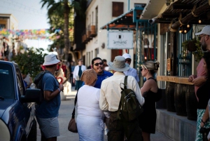 Los Cabos: San Jose del Cabo konstrundvandring och ölprovning