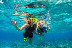 Los Cabos: Snorkling i Santa Maria og Chileno Bay