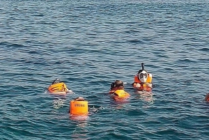 Los Cabos: Snorkling i Santa Maria og Chileno Bay