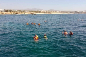 Los Cabos: Snorkling i Santa Maria og Chileno Bay