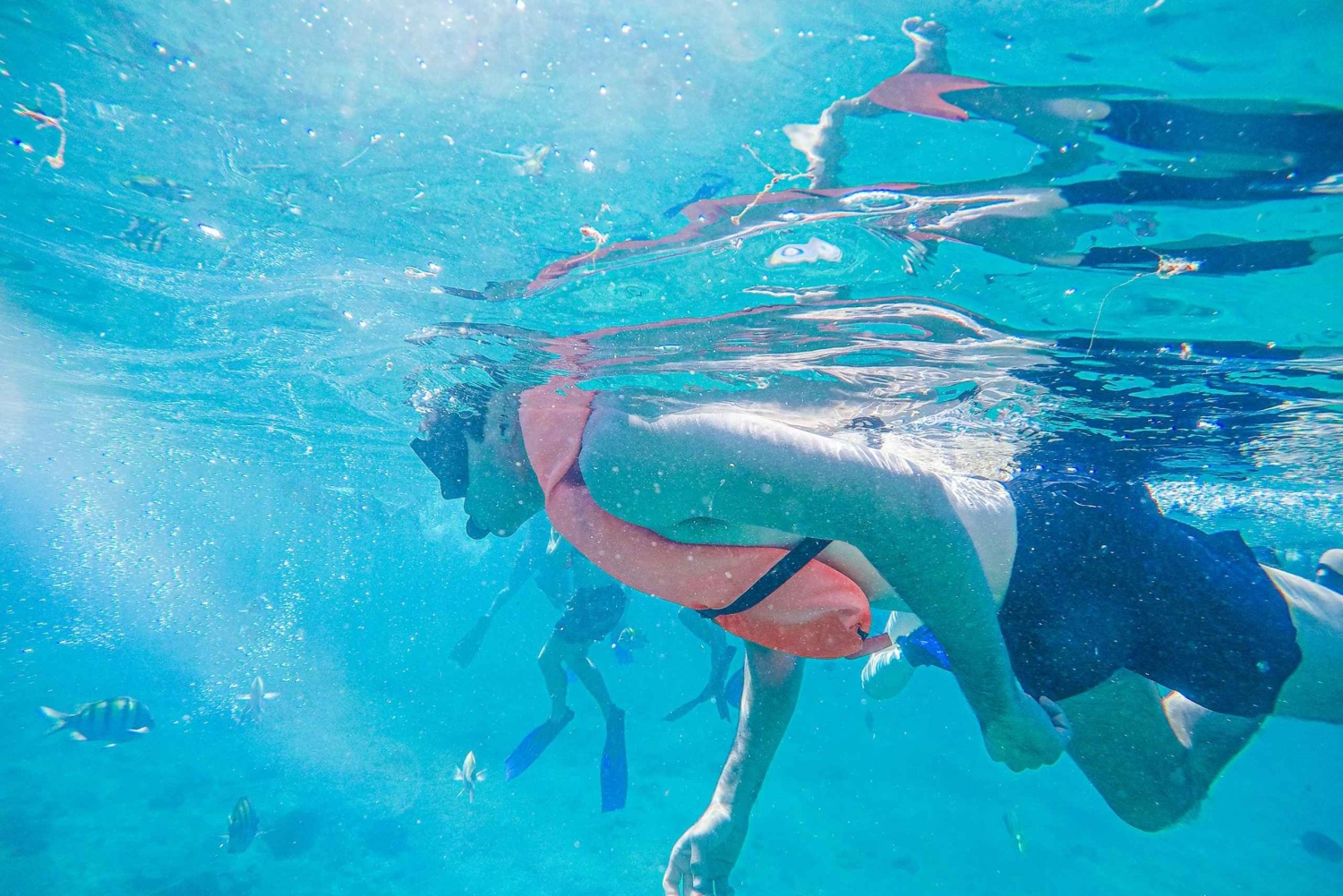 Los Cabos: Snorkeling Cruise with Lunch