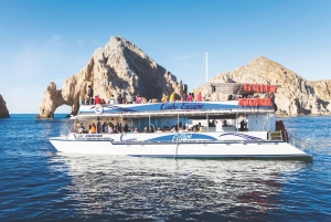 Los Cabos: Snorkeling Cruise with Lunch