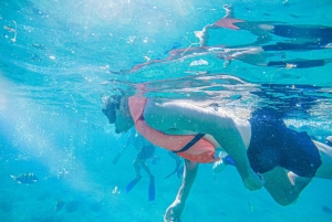 Los Cabos: Snorkeling Cruise with Lunch