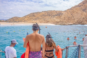 Los Cabos: Snorkeling Cruise with Lunch