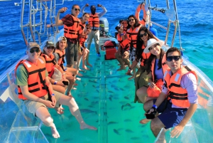 Los Cabos Tour to the Arch in a Transparent Boat