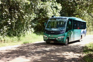 Machu Picchu: Guidet og billett Machupicchu + transferbuss